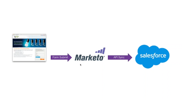 Marketo and API Sync on Salesforce