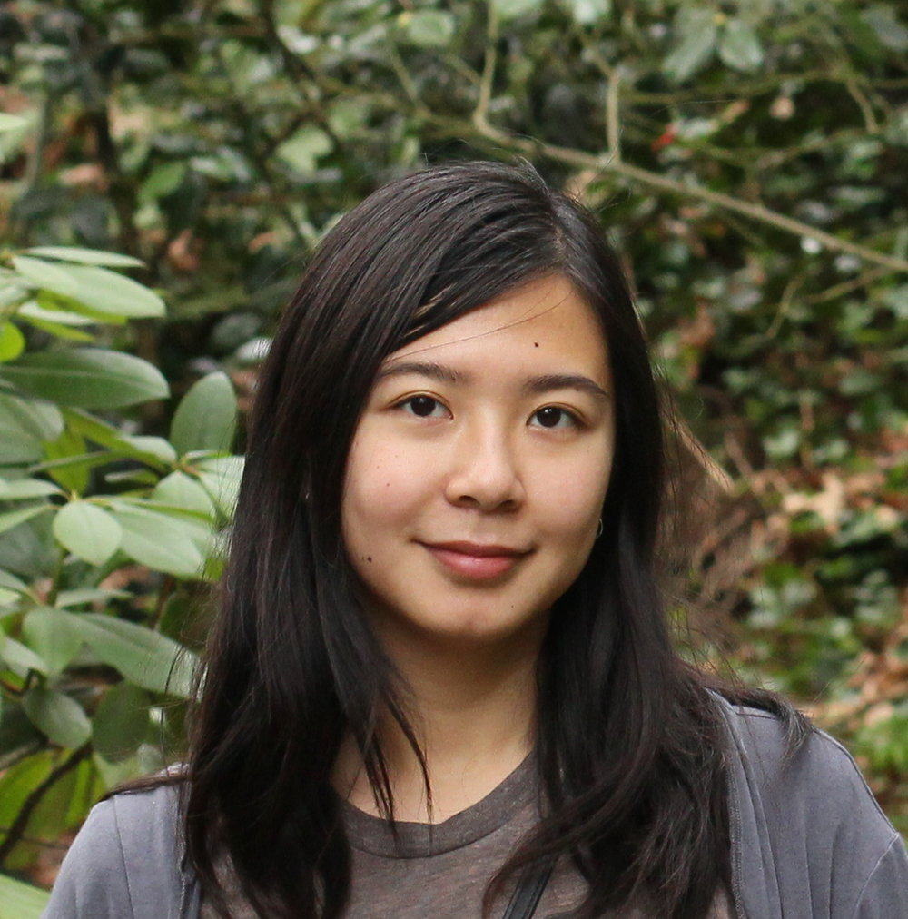 Off the Charts: An Interview with Ri Liu - Design Technologist
