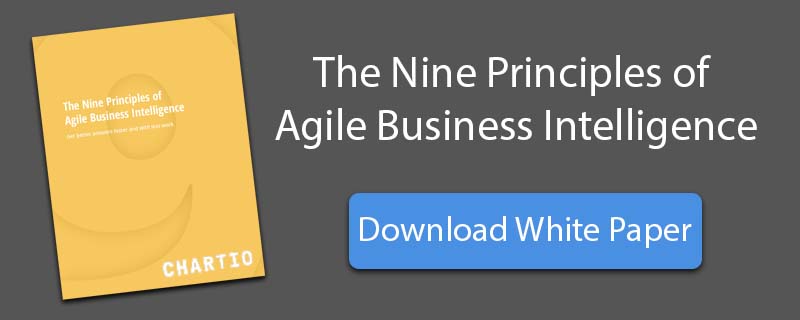 Nine Principles of Agile Business intelligence whitepaper